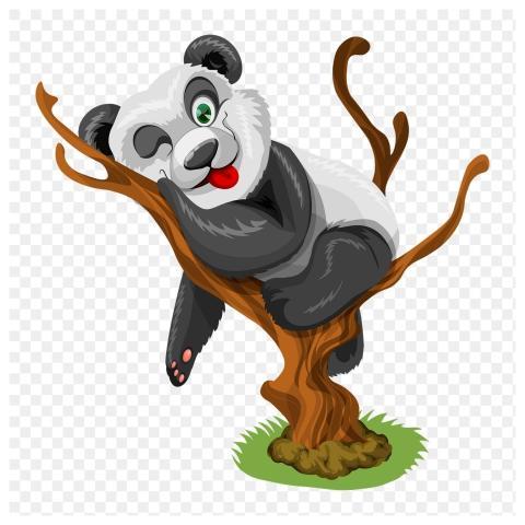 Baby panda png sticker, animal