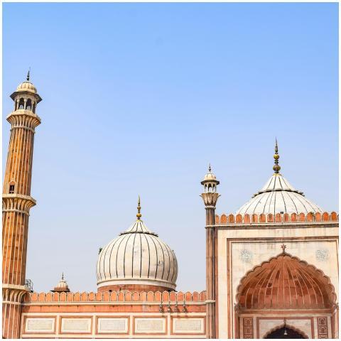 Elegant architectural capture of Jama Masjid's dom