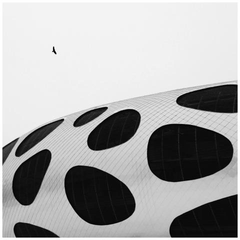 A striking black and white image of a futuristic b