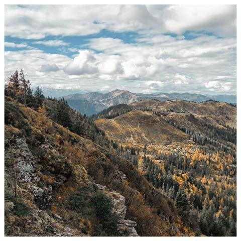 Mountains Nature Forest Clouds