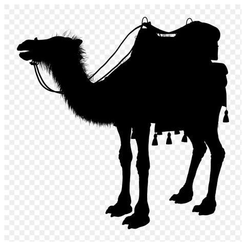 Camel png sticker animal silhouette