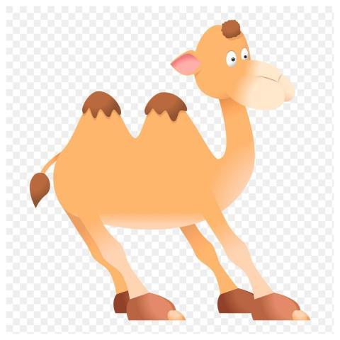 Camel png sticker, cute animal