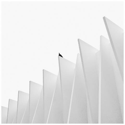 An abstract view of modern minimalist architecture