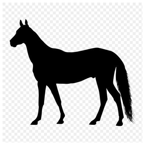 Horse png sticker animal silhouette