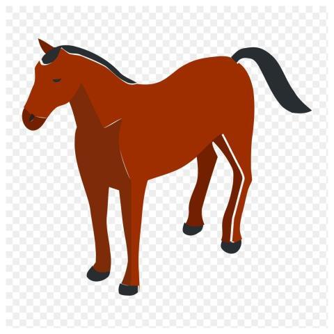 Horse png sticker, farm animal