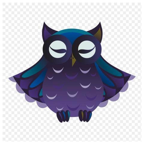 PNG sleeping owl, animal sticker