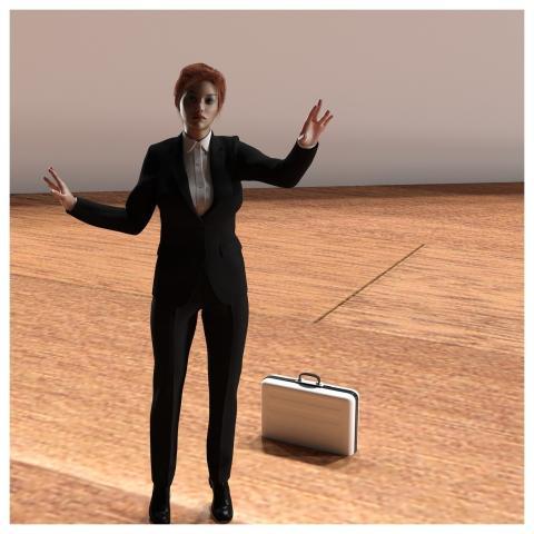 Woman Business Boss Business Woman