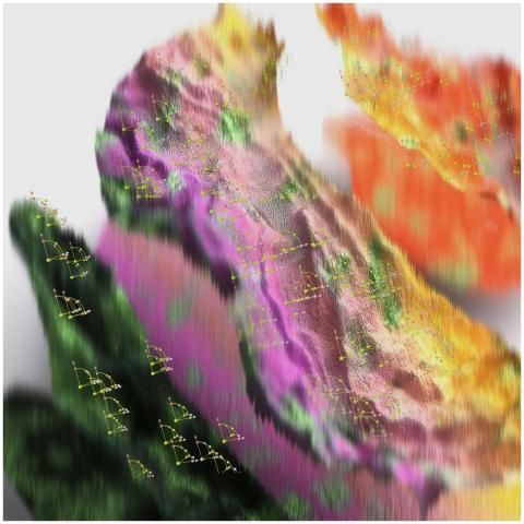 Vibrant abstract artwork featuring dynamic colors