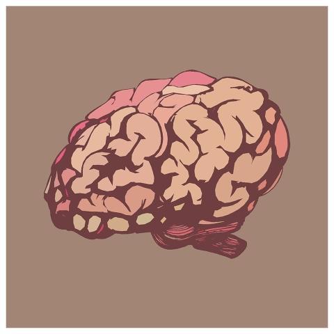 Brain Mind Cartoon Psychology