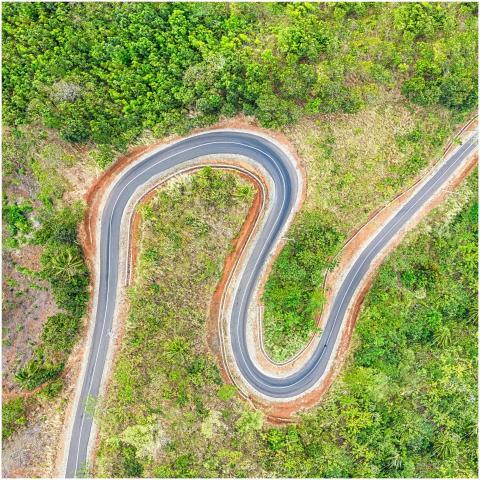 A stunning aerial view of a winding road amidst lu