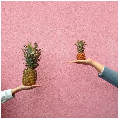 Two different-sized pineapples held against a vibr