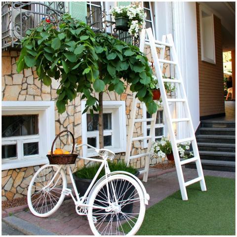 A stylish outdoor scene featuring a white bicycle,