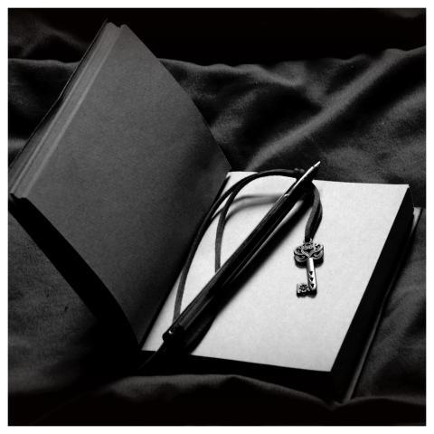 Journal Book Night Pen