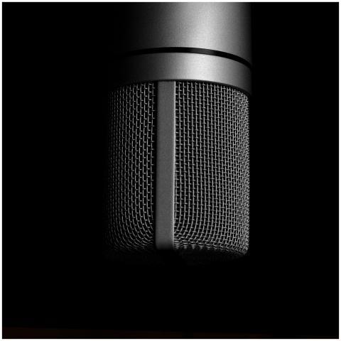 Detailed close-up shot of a metallic studio microp