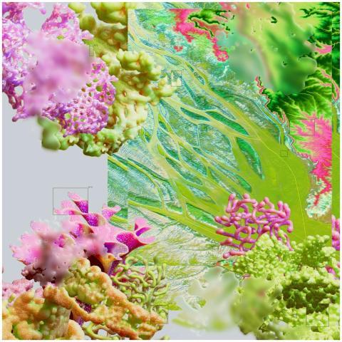 A colorful collage of abstract plant forms in a su