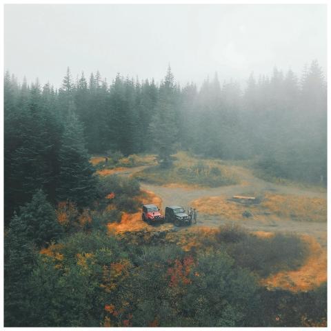 Misty morning landscape with SUVs in a foggy autum