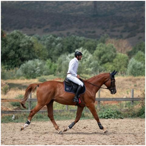 Equestrian Rider Training Countryside