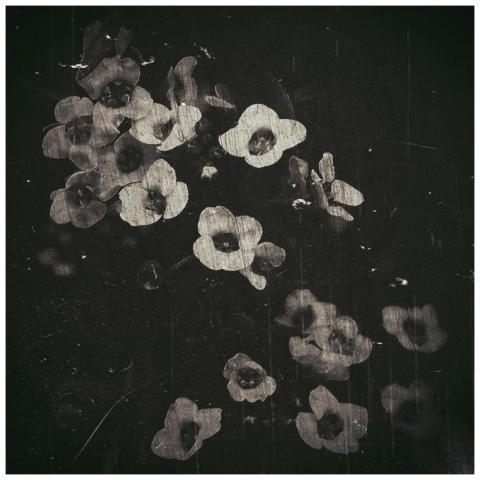 Artistic vintage floral arrangement in monochrome