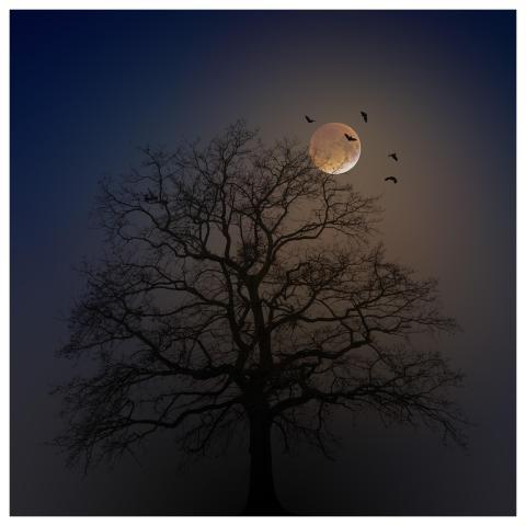 Halloween Tree Silhouette Moon