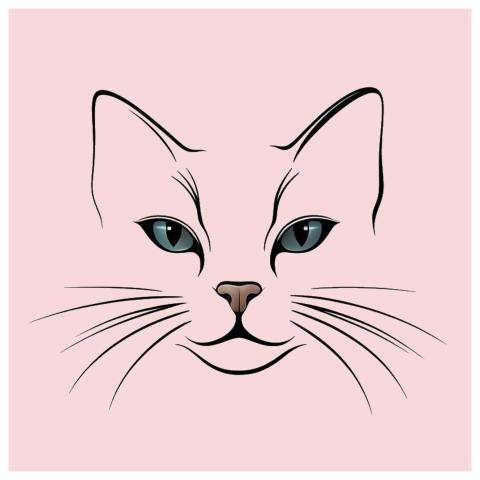 Cat Animal Nature Pet