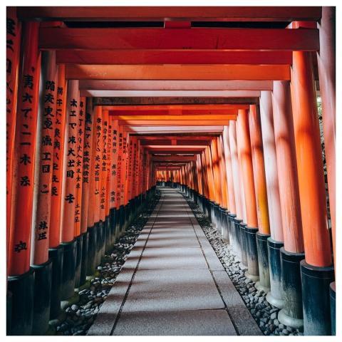Torii Buildings Japan Nature