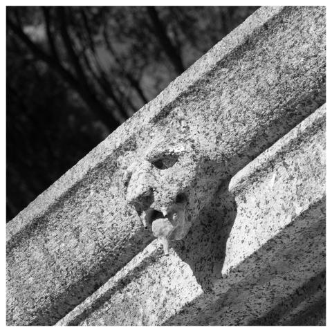 Gargoyle Old Stone Architecture