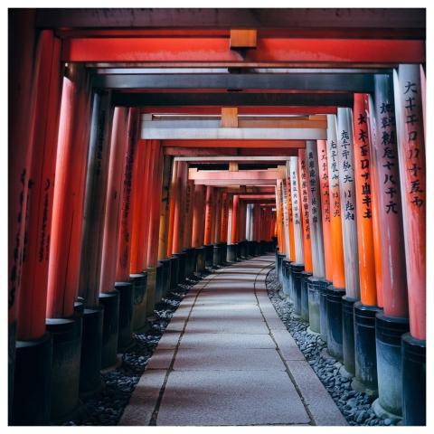 Torii Buildings Japan Nature