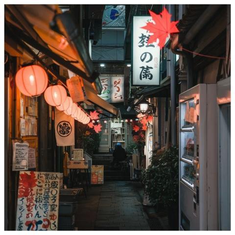Japan Alley Lanterns Nature