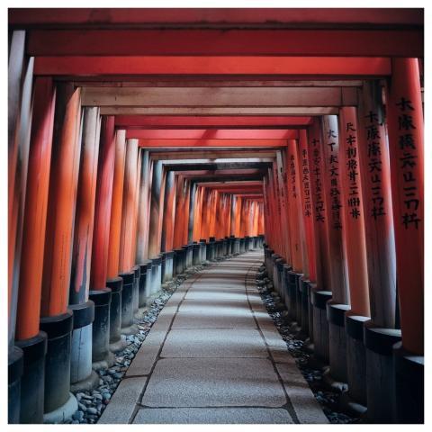 Torii Buildings Japan Nature