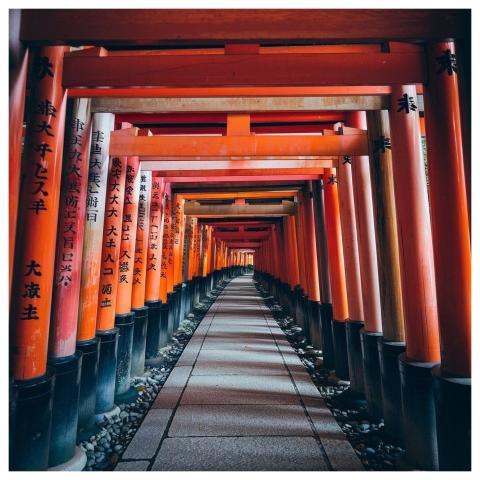 Torii Buildings Japan Nature