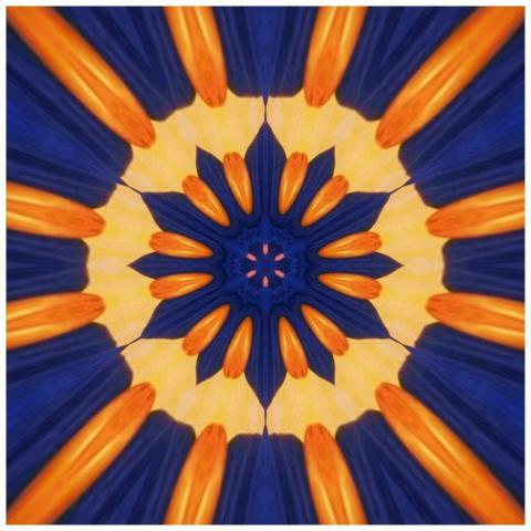 Artistic abstract kaleidoscope design featuring vi