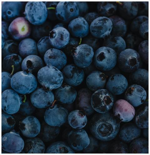 A vibrant close-up image of fresh, ripe blueberrie