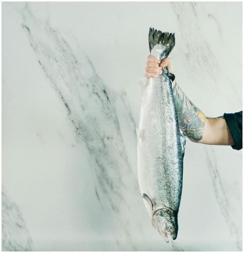 A tattooed man holds a large fish by the tail agai