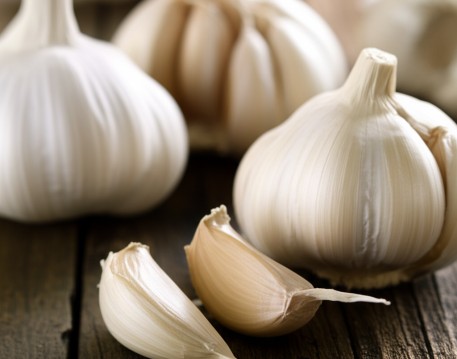Garlic