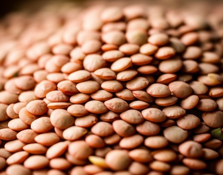 Lentils
