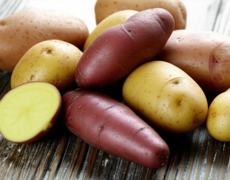 Potato