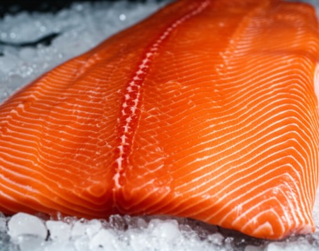 Salmon